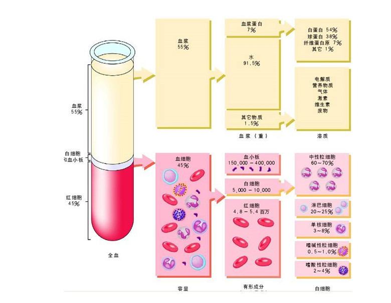 -30℃～-80℃血浆蛋白低温冷冻库规范，冷库安装价格