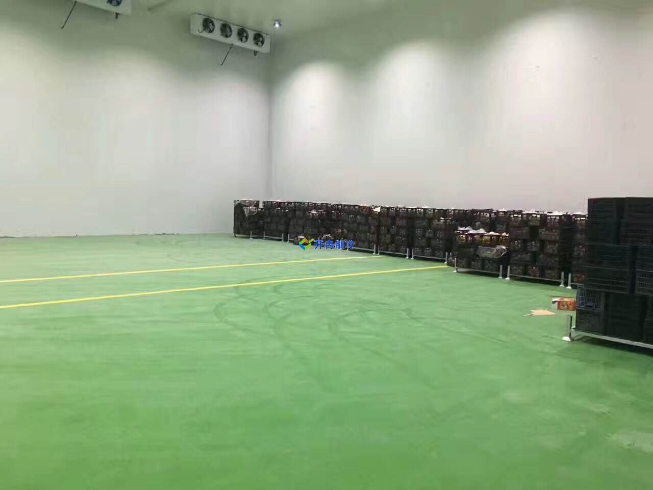 设计一个5000吨大型海鲜冷冻库，低温冷库建设